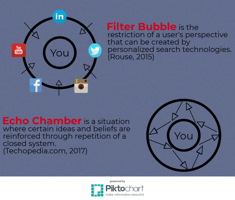 Filter Bubbles &amp; Echo Chambers